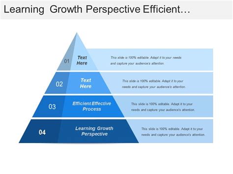 fte meaning education: A Kaleidoscope of Perspectives on Learning and Growth