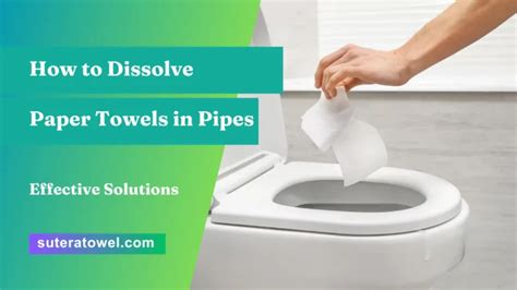 How to Dissolve Paper Towels in Pipes: A Journey Through the Absurd and the Practical