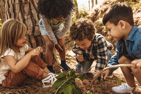 What is Outdoor Education in High School? Exploring the Wild Side of Learning